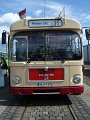 Trammoldie   031